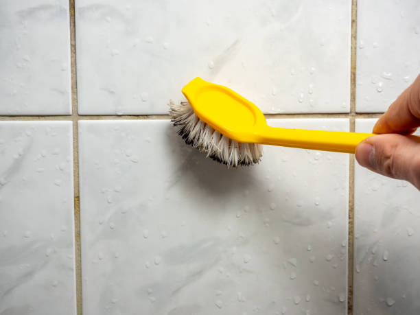 Best Mold Remediation for Schools in Hughson, CA