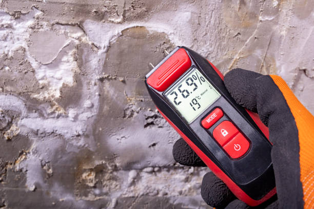 Best Mold Remediation for Specific Building Types in Hughson, CA