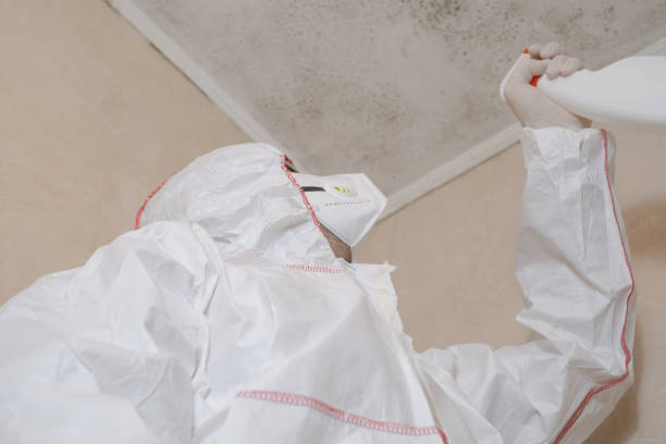 Best Kitchen Mold Remediation in Hughson, CA